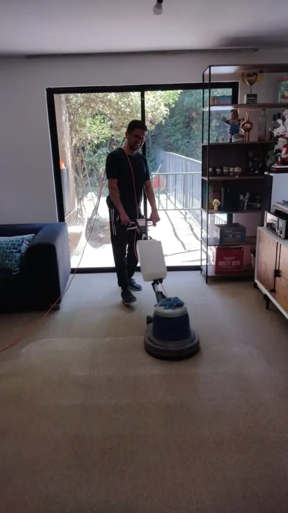 contratar expertos en limpieza