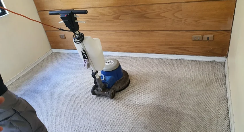 lavado de alfombras a domicilio